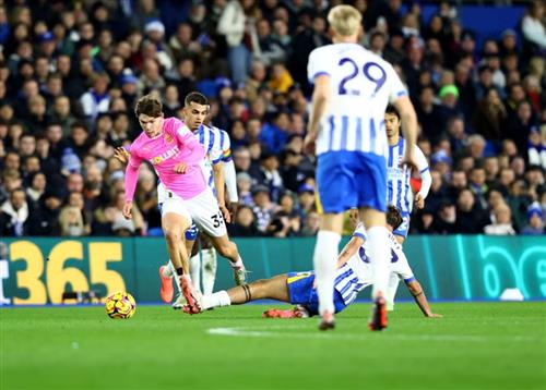 Brighton đấu với Southampton