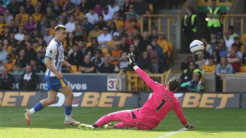 Wolves vs Brighton